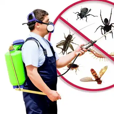 pest control Oceanside